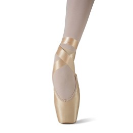 Pointes Diva "Merlet"